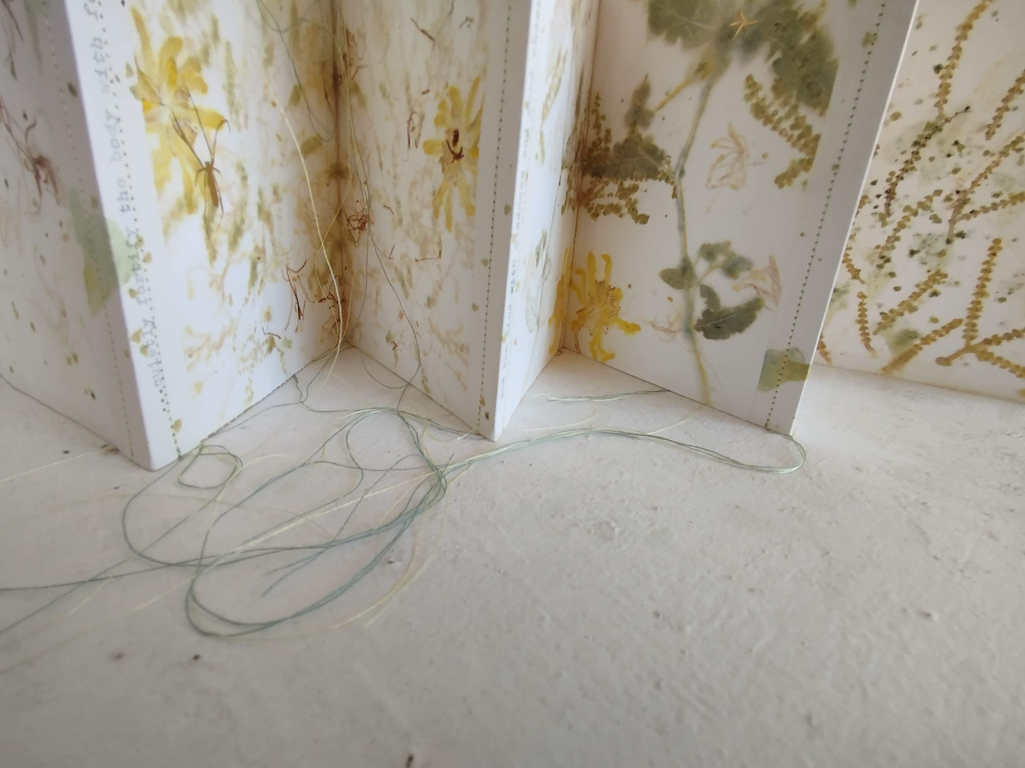 Artist's Books