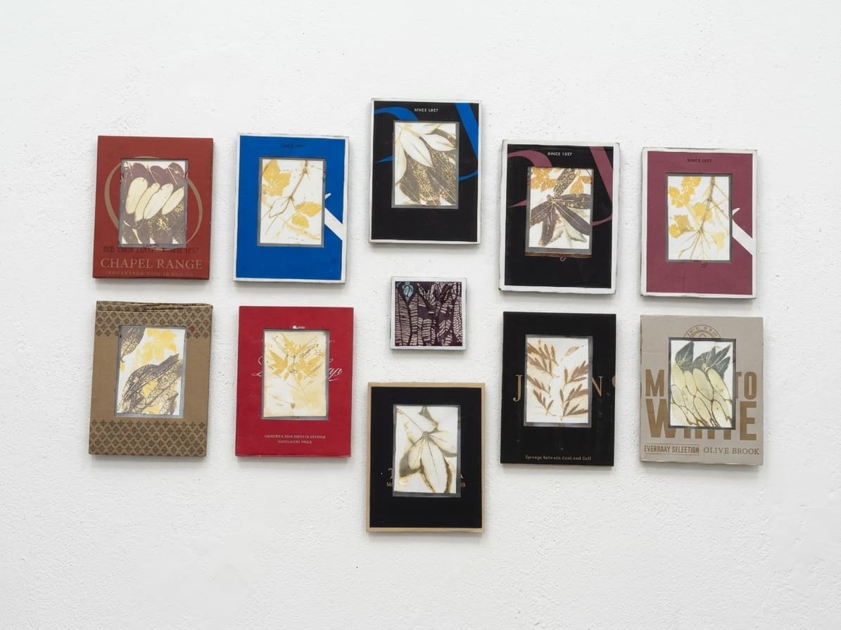 Installation view of framed eco-prints