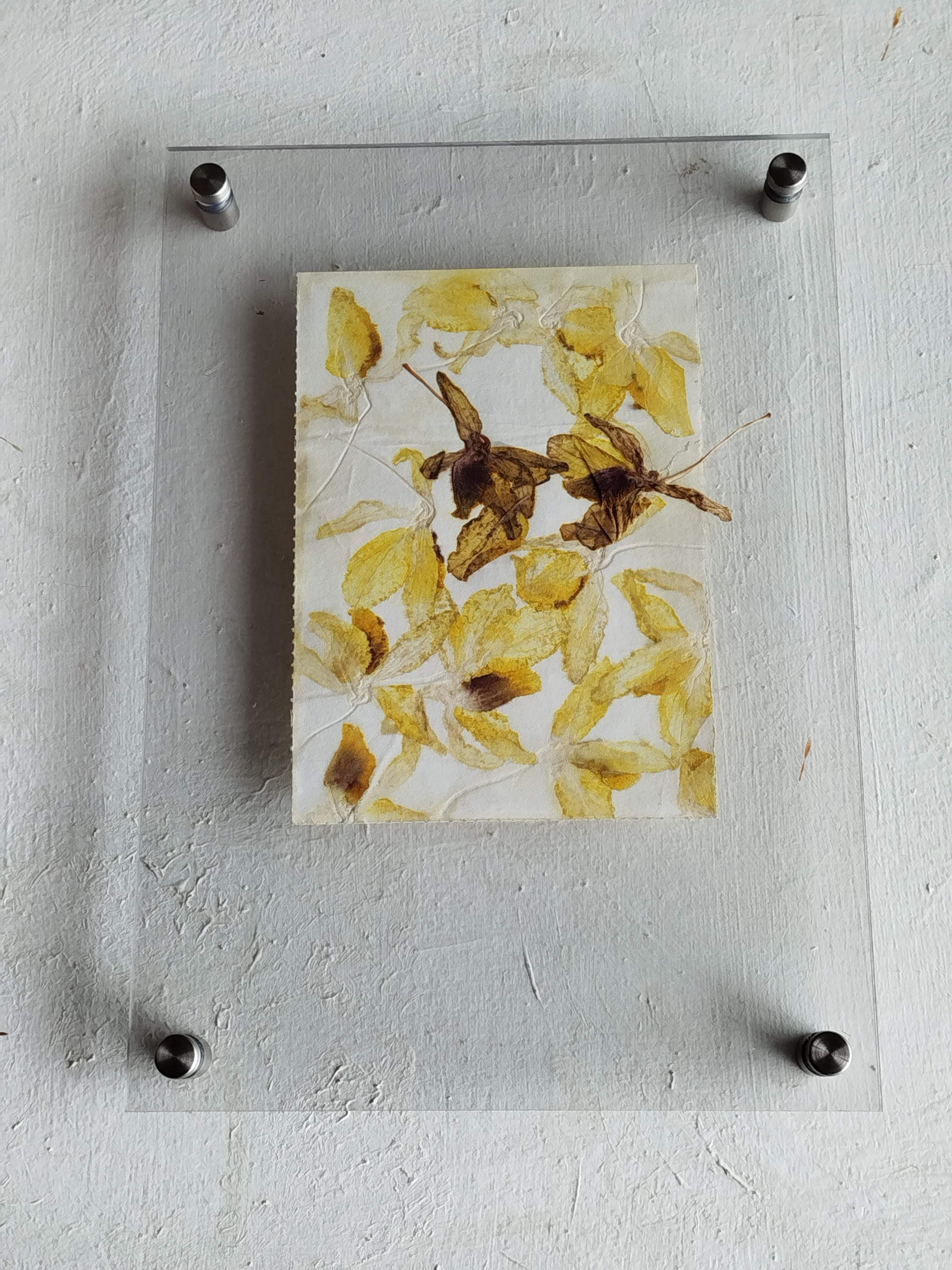Dendrobium eco-print in its final acrylic presentation